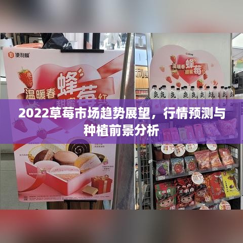 2022草莓市場趨勢展望，行情預(yù)測與種植前景分析