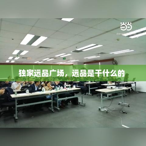 獨家遠品廣場，遠品是干什么的 
