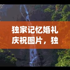 獨(dú)家記憶婚禮慶祝圖片，獨(dú)家記憶圖片唯美 