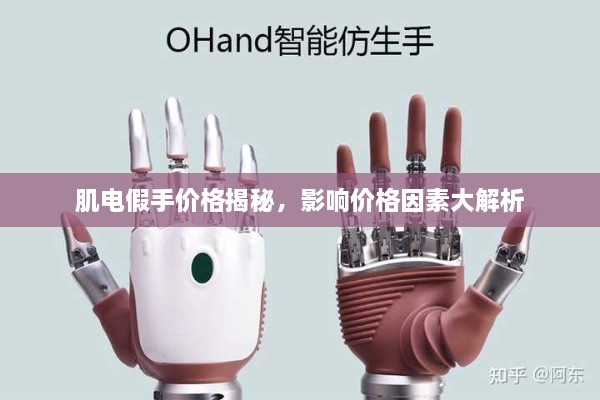 肌電假手價(jià)格揭秘，影響價(jià)格因素大解析