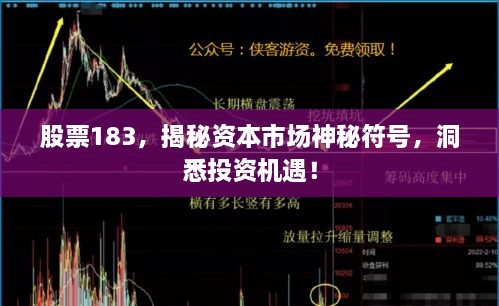 股票183，揭秘資本市場神秘符號，洞悉投資機(jī)遇！