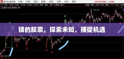 鏑的股票，探索未知，捕捉機(jī)遇