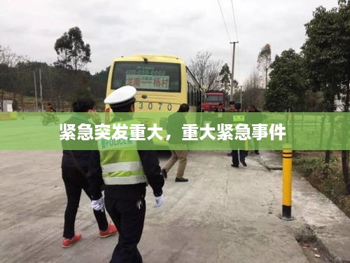 緊急突發(fā)重大，重大緊急事件 