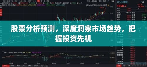 股票分析預(yù)測(cè)，深度洞察市場(chǎng)趨勢(shì)，把握投資先機(jī)