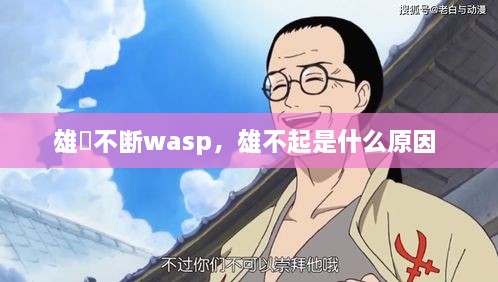 雄獣不斷wasp，雄不起是什么原因 