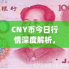 CNY幣今日行情深度解析，最新價(jià)格動(dòng)態(tài)一網(wǎng)打盡！
