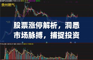 股票漲停解析，洞悉市場(chǎng)脈搏，捕捉投資黃金機(jī)會(huì)