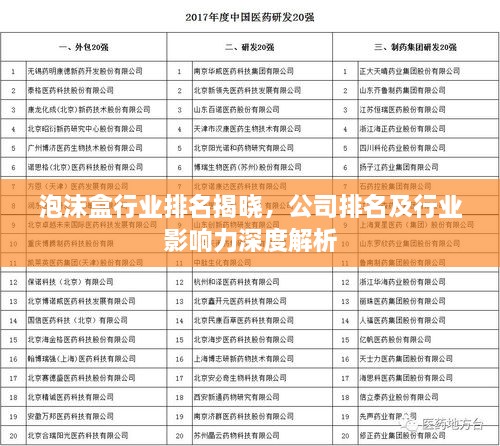 泡沫盒行業(yè)排名揭曉，公司排名及行業(yè)影響力深度解析