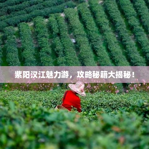 紫陽漢江魅力游，攻略秘籍大揭秘！