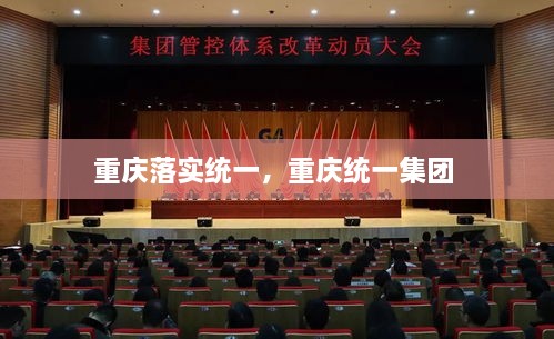 重慶落實(shí)統(tǒng)一，重慶統(tǒng)一集團(tuán) 