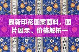 最新印花圖案面料，圖片展示、價格解析一網(wǎng)打盡