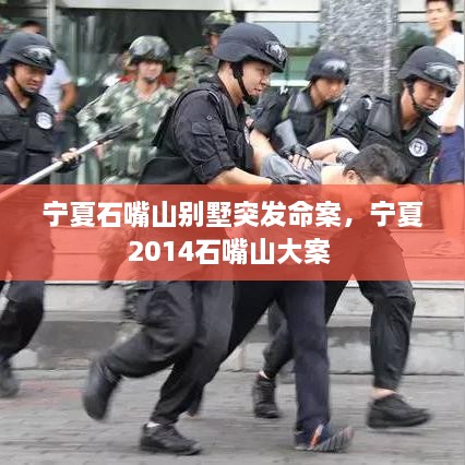 寧夏石嘴山別墅突發(fā)命案，寧夏2014石嘴山大案 