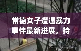 常德女子遭遇暴力事件最新進(jìn)展，持續(xù)關(guān)注被打女子最新消息