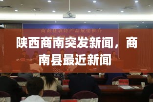 陜西商南突發(fā)新聞，商南縣最近新聞 