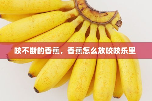 咬不斷的香蕉，香蕉怎么放咬咬樂里 