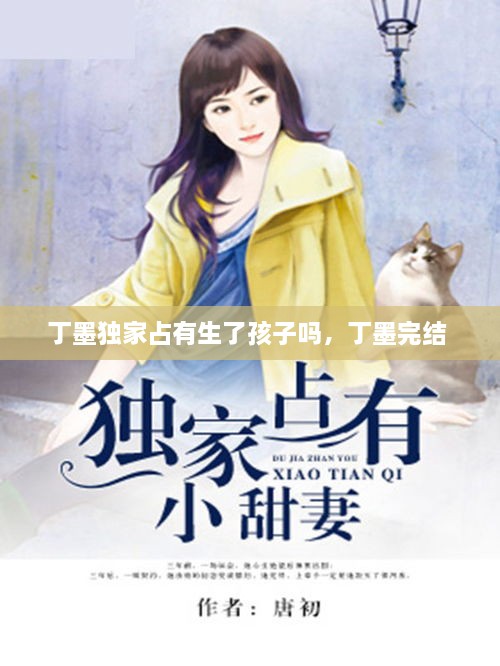 丁墨獨家占有生了孩子嗎，丁墨完結 