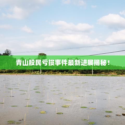 青山股民虧損事件最新進(jìn)展揭秘！