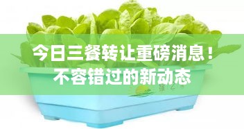今日三餐轉(zhuǎn)讓重磅消息！不容錯(cuò)過(guò)的新動(dòng)態(tài)