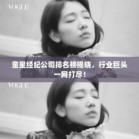 童星經(jīng)紀(jì)公司排名榜揭曉，行業(yè)巨頭一網(wǎng)打盡！