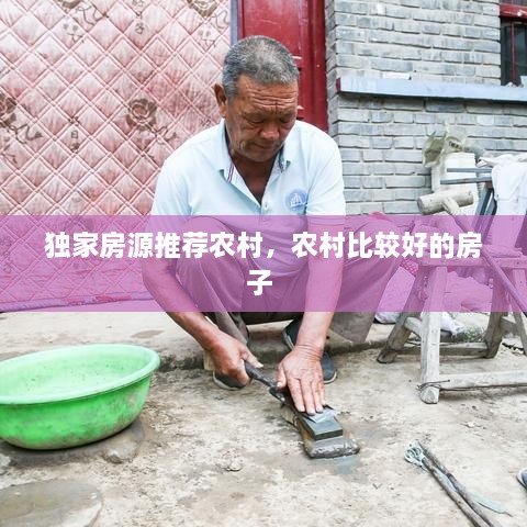 獨家房源推薦農(nóng)村，農(nóng)村比較好的房子 