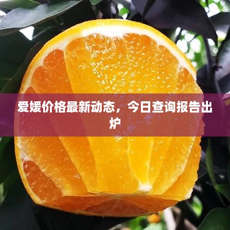 愛媛價格最新動態(tài)，今日查詢報告出爐