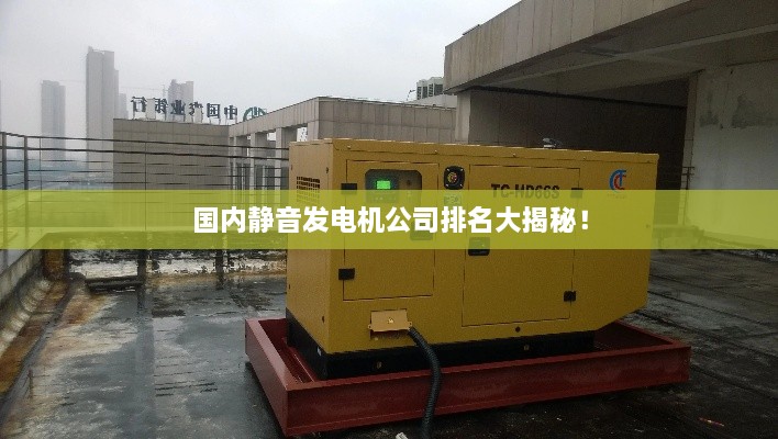 國內(nèi)靜音發(fā)電機(jī)公司排名大揭秘！