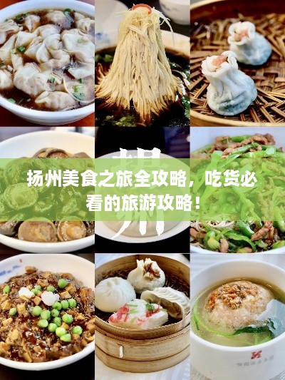 揚(yáng)州美食之旅全攻略，吃貨必看的旅游攻略！
