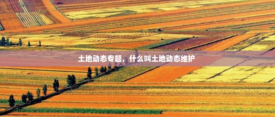 土地動態(tài)專題，什么叫土地動態(tài)維護(hù) 