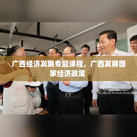 廣西經(jīng)濟(jì)發(fā)展專題課程，廣西發(fā)展國家經(jīng)濟(jì)政策 