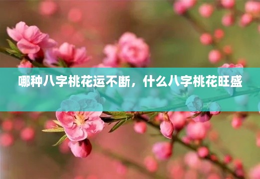哪種八字桃花運不斷，什么八字桃花旺盛 