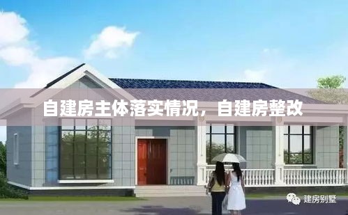 自建房主體落實(shí)情況，自建房整改 
