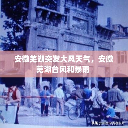 安徽蕪湖突發(fā)大風天氣，安徽蕪湖臺風和暴雨 