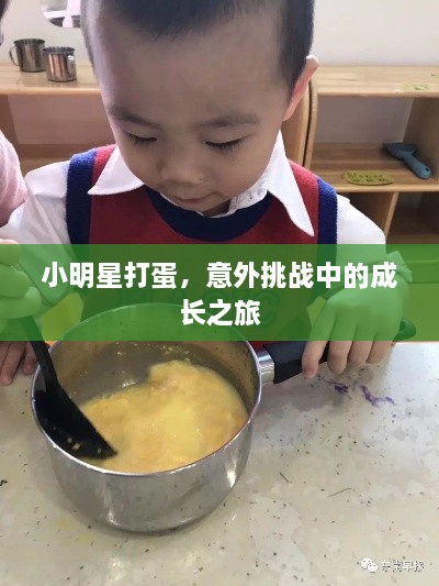 小明星打蛋，意外挑戰(zhàn)中的成長(zhǎng)之旅