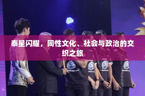 泰星閃耀，同性文化、社會(huì)與政治的交織之旅