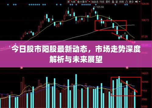 今日股市陽股最新動態(tài)，市場走勢深度解析與未來展望