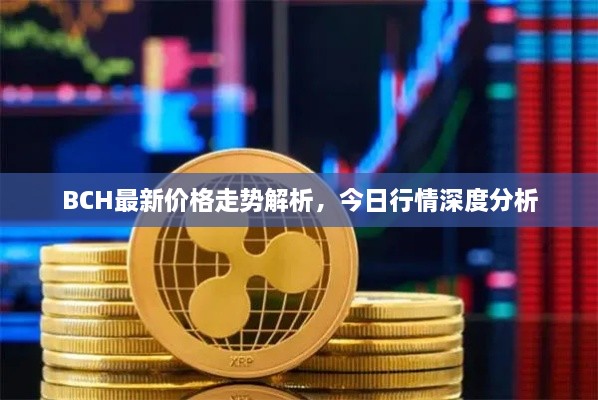 BCH最新價(jià)格走勢解析，今日行情深度分析