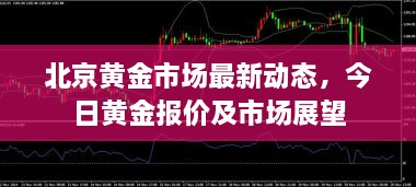 北京黃金市場最新動態(tài)，今日黃金報價及市場展望