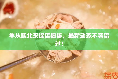 羊從陜北來探店揭秘，最新動(dòng)態(tài)不容錯(cuò)過！