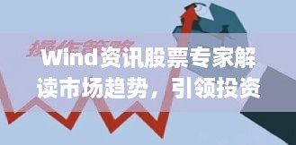 Wind資訊股票專家解讀市場趨勢，引領(lǐng)投資風(fēng)向標(biāo)