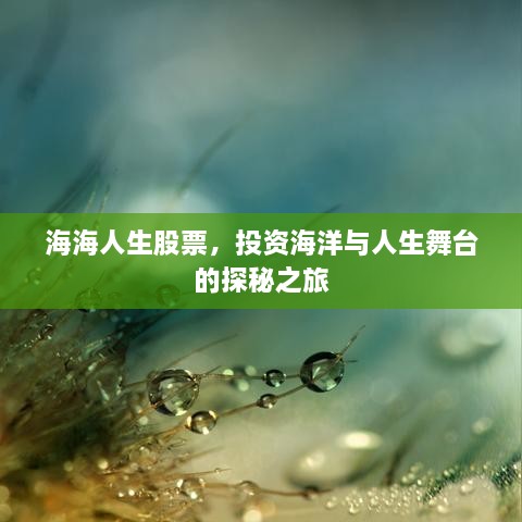 海海人生股票，投資海洋與人生舞臺的探秘之旅