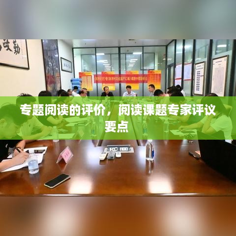 專題閱讀的評價，閱讀課題專家評議要點 