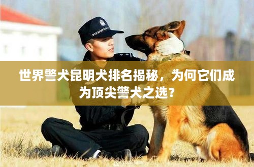 世界警犬昆明犬排名揭秘，為何它們成為頂尖警犬之選？