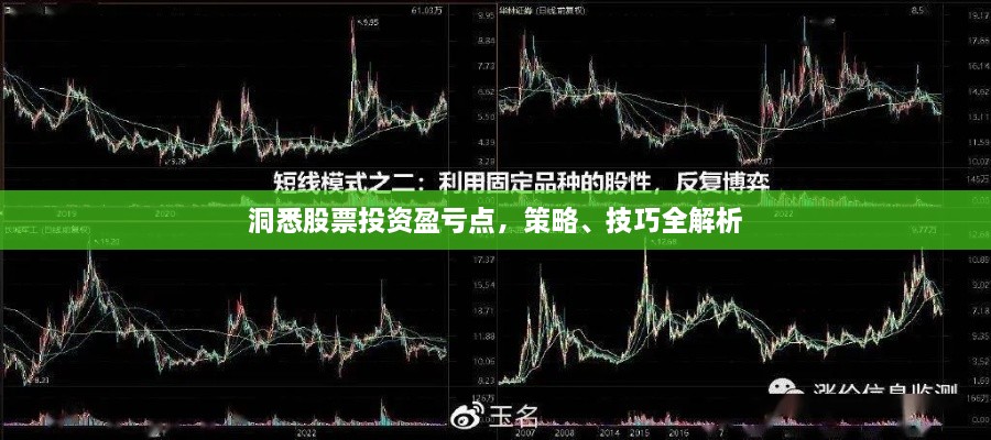 洞悉股票投資盈虧點(diǎn)，策略、技巧全解析