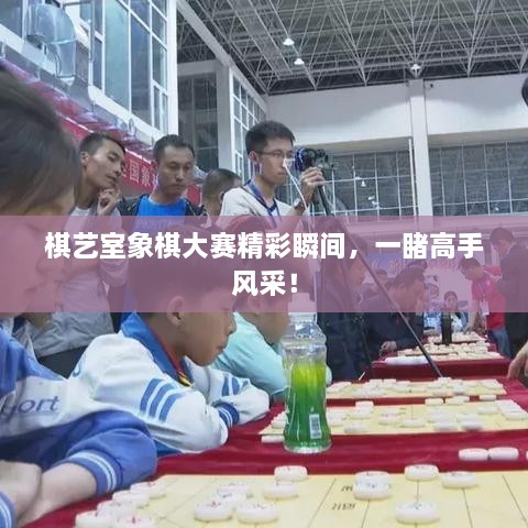 棋藝室象棋大賽精彩瞬間，一睹高手風(fēng)采！