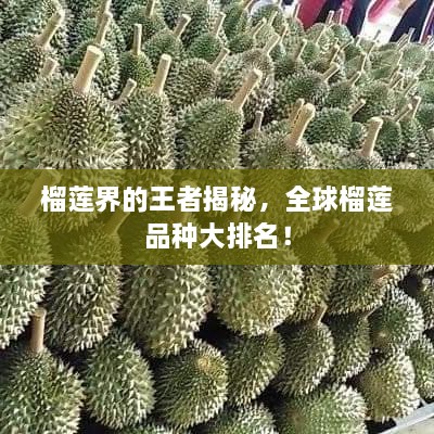 榴蓮界的王者揭秘，全球榴蓮品種大排名！
