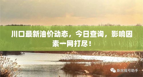 川口最新油價動態(tài)，今日查詢，影響因素一網打盡！