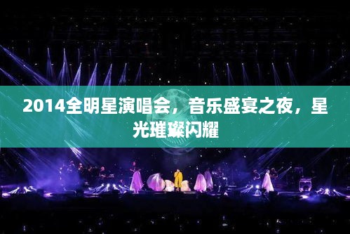 2014全明星演唱會(huì)，音樂盛宴之夜，星光璀璨閃耀