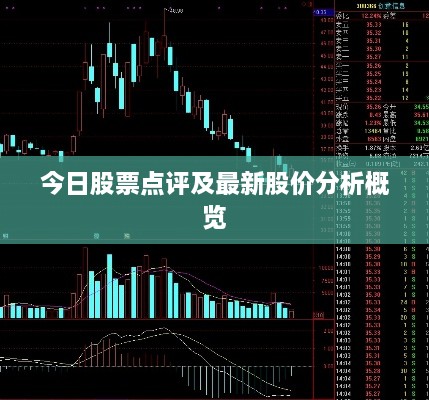 今日股票點(diǎn)評及最新股價(jià)分析概覽