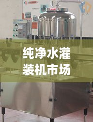 純凈水灌裝機(jī)市場(chǎng)走勢(shì)解析，最新行情深度探討