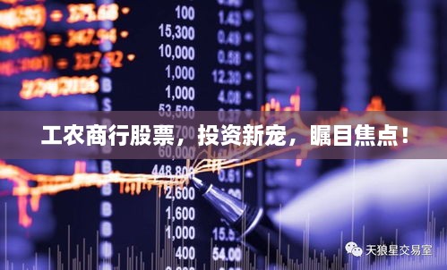 工農(nóng)商行股票，投資新寵，矚目焦點！